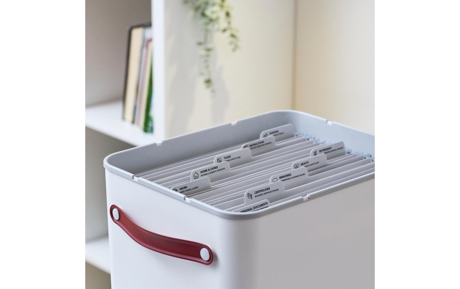 Rotho My Paper Plus Archivschachtel – für A4, B 292 × H 465 mm, beige, Recycling-Kunststoff