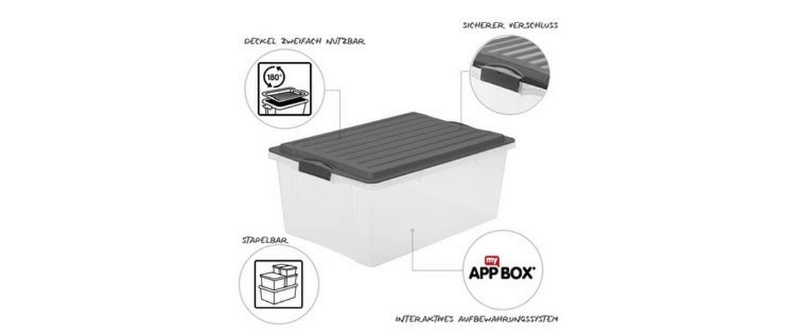 Rotho Aufbewahrungsbox 324 l – Kunststoff – Transparent – BPA-frei – 6-teiliges Set