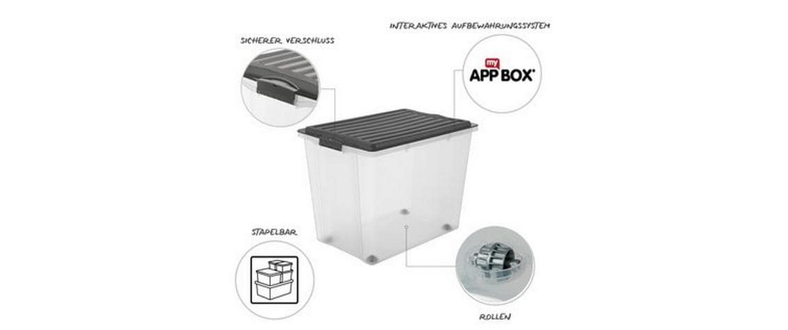 Rotho Aufbewahrungsbox 324 l – Kunststoff – Transparent – BPA-frei – 6-teiliges Set