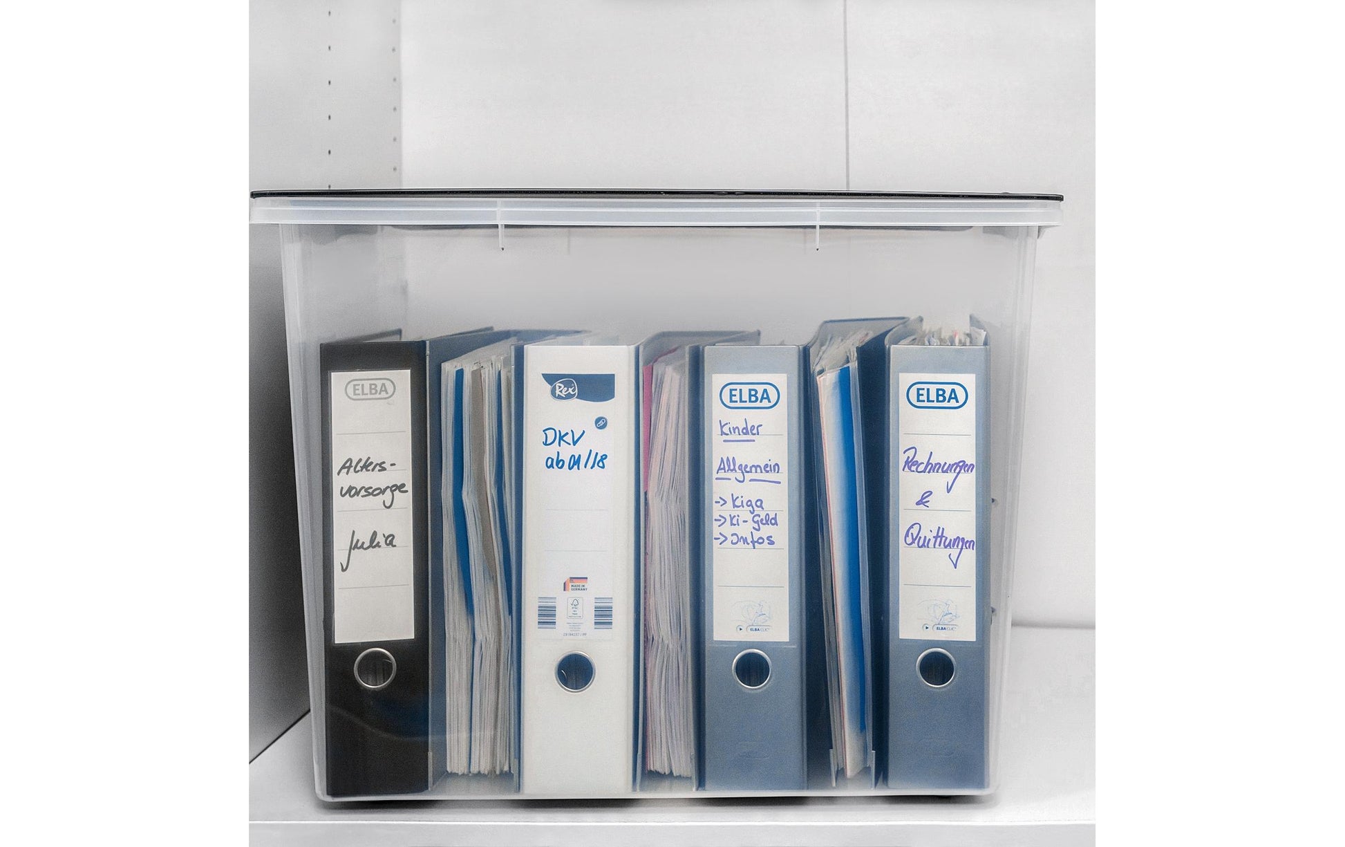 Rotho Aufbewahrungsbox 324 l – Kunststoff – Transparent – BPA-frei – 6-teiliges Set