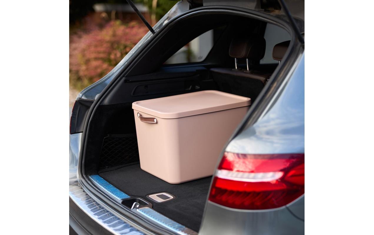 Rotho MALOJA Aufbewahrungsbox 55 l – Kunststoff – Rosa – 523 × 340 × 405 mm