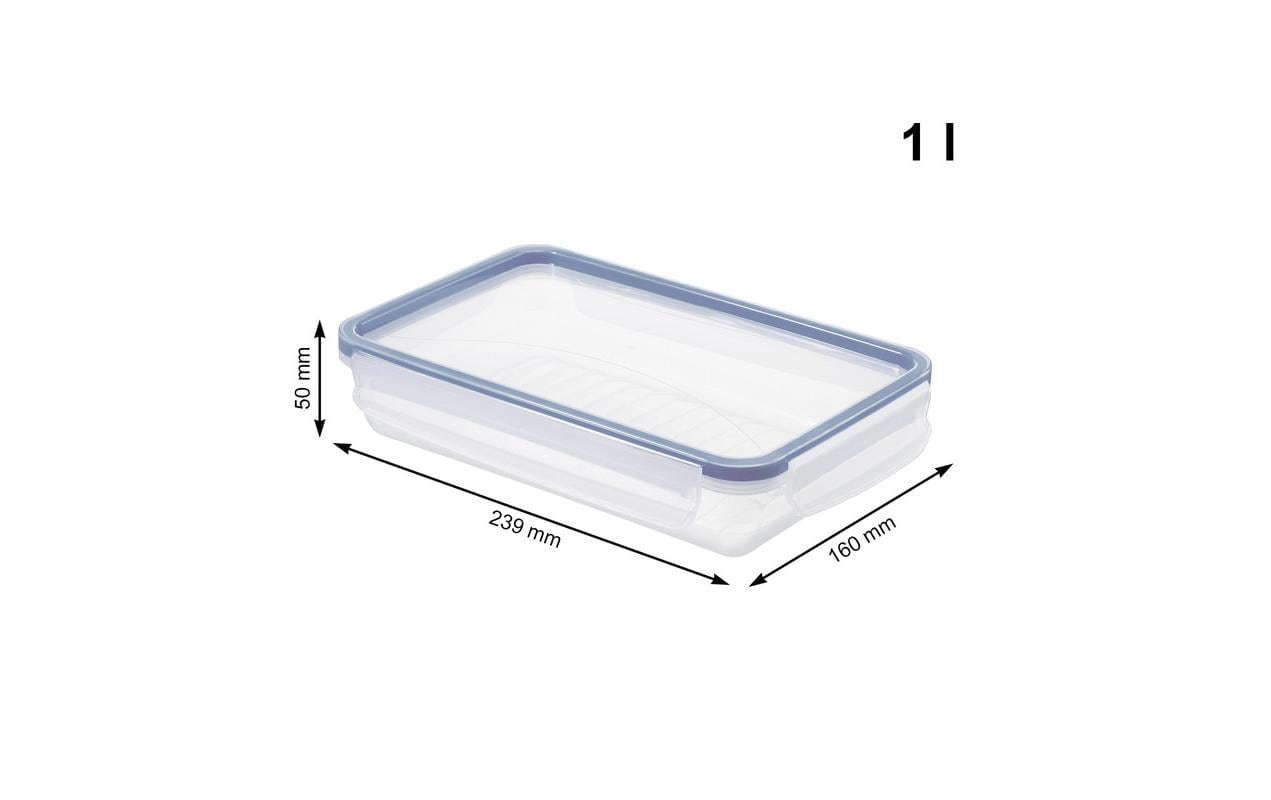 Rotho Vorratsdose 3,5 l, 5 × 25 × 7 cm, Polypropylen (PP), Transparent