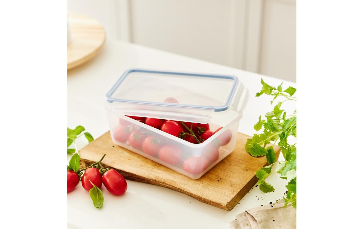 Rotho Vorratsdose 3,5 l, 5 × 25 × 7 cm, Polypropylen (PP), Transparent