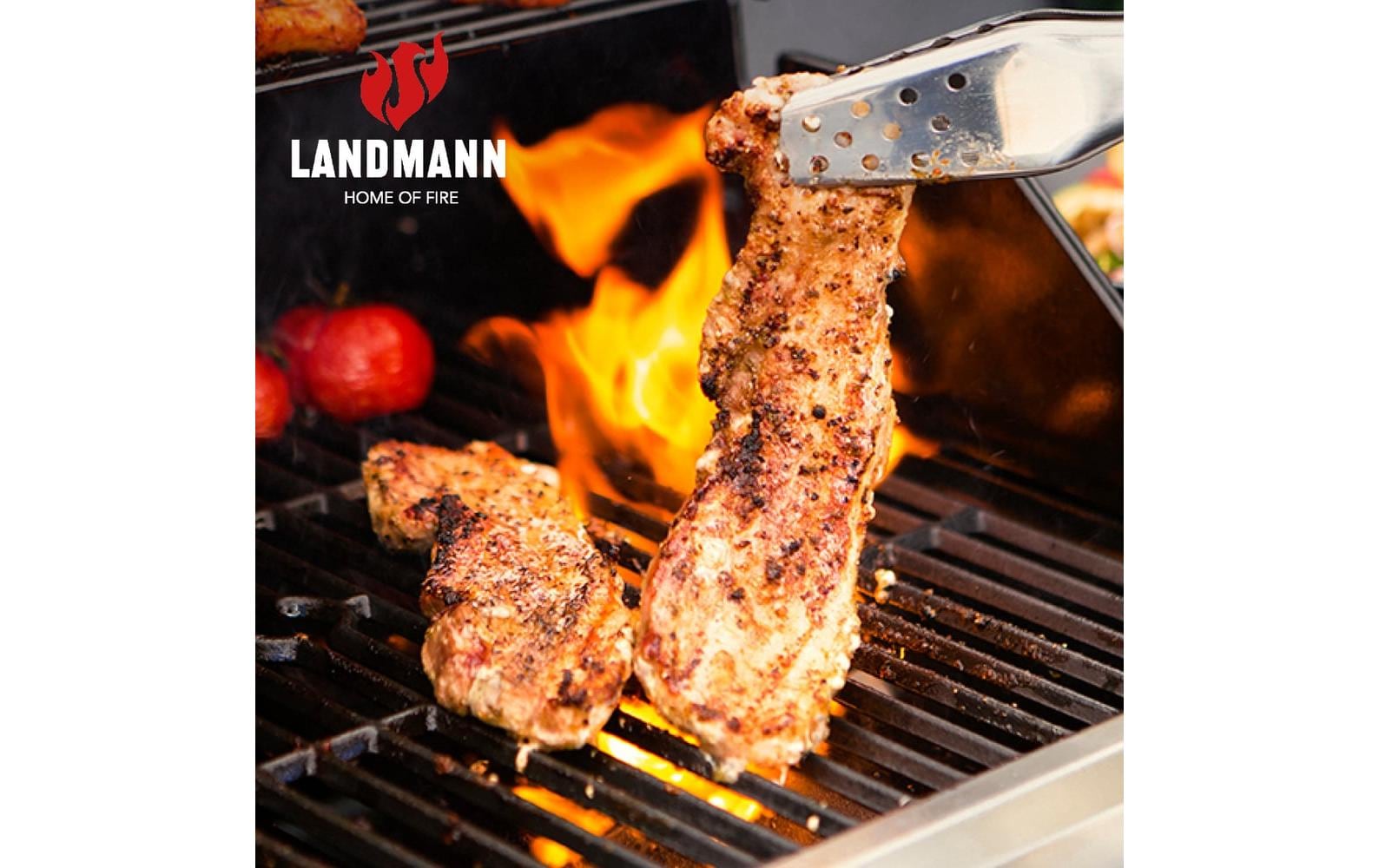Landmann Gasgrill Rexon 3.1 – 3 Brenner, 2560 cm² Grillfläche, Thermometer & Fahr-Rollen – Schwarz/Edelstahl