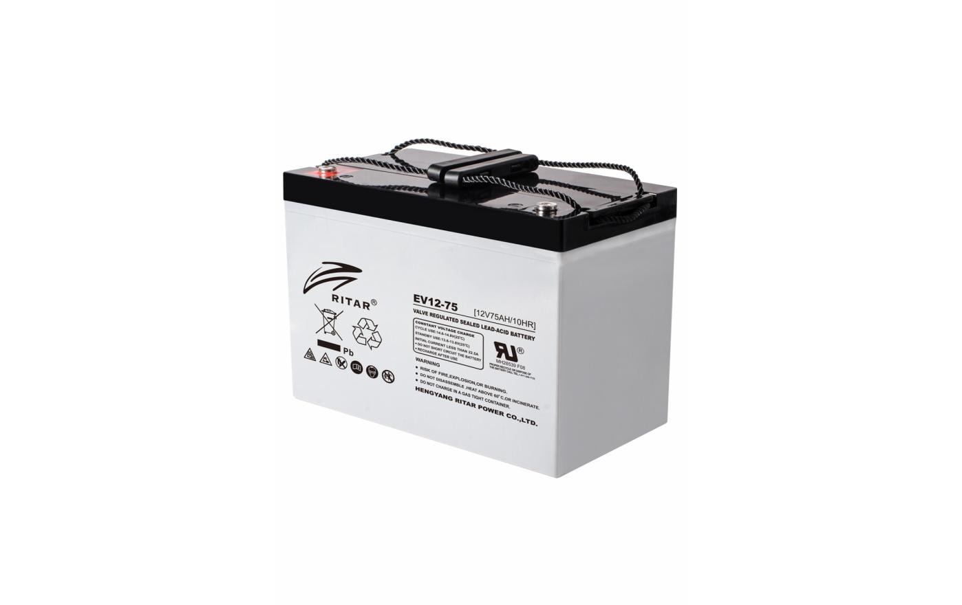Ritar USV-Batteriemodul – Blei (VRLA), 12 V, 900 Wh