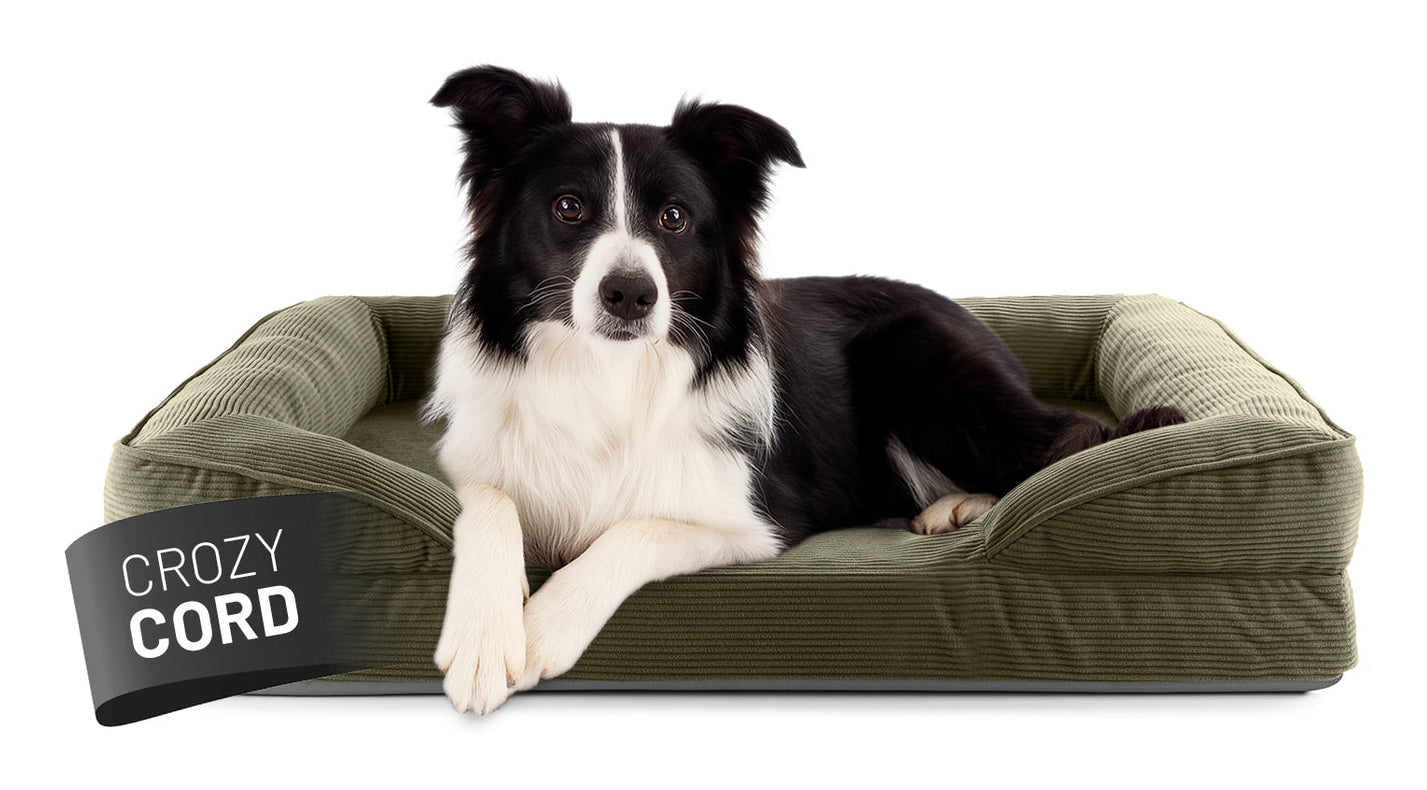 Lumaland Indoor Cord M Hundebett – 65 × 90 × 18 cm, Polyester, Olivgrün