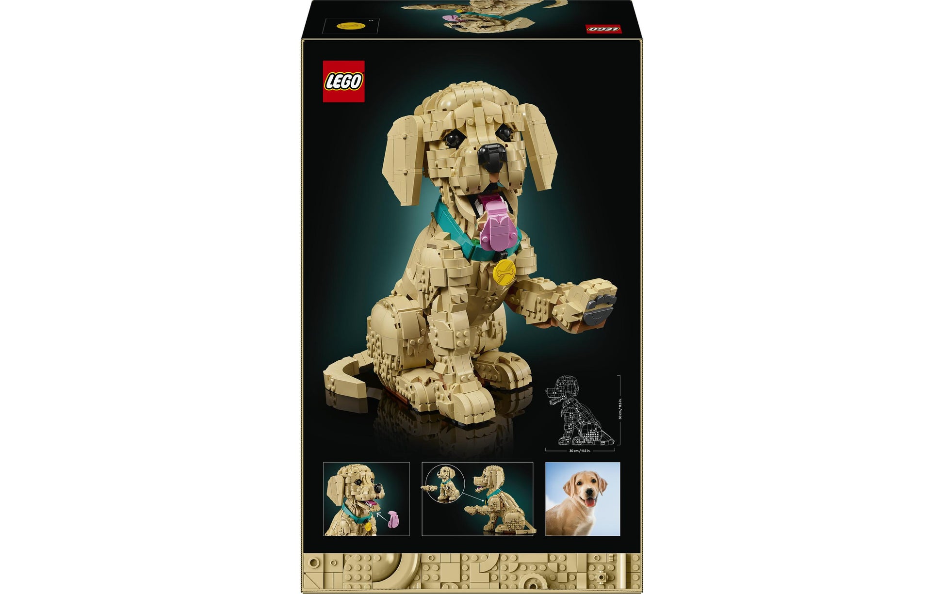 LEGO 3D Puzzle Icons Golden Retriever Welpe 11384 – 2102 Teile – ab 18 Jahren