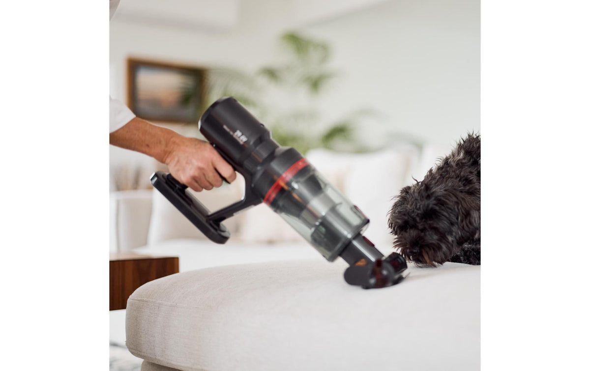 Ecofort Akkustaubsauger CleanVac Pro Animal, 2-in-1 – 50 min, Behälter 0,47 l