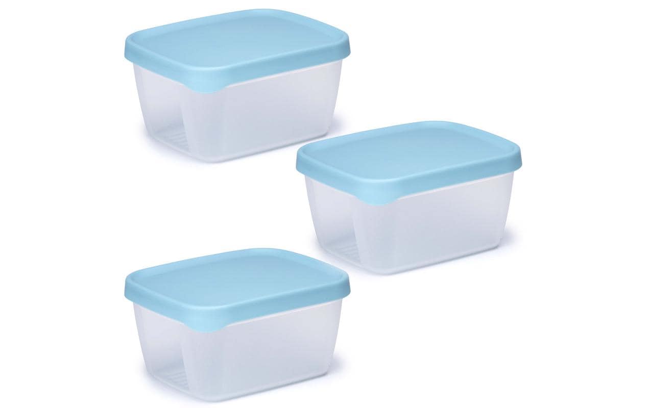 Alpina Vorratsdose 900 ml, 12 × 15 × 8 cm, Polypropylen (PP), Blau, Transparent, 3 Stk.