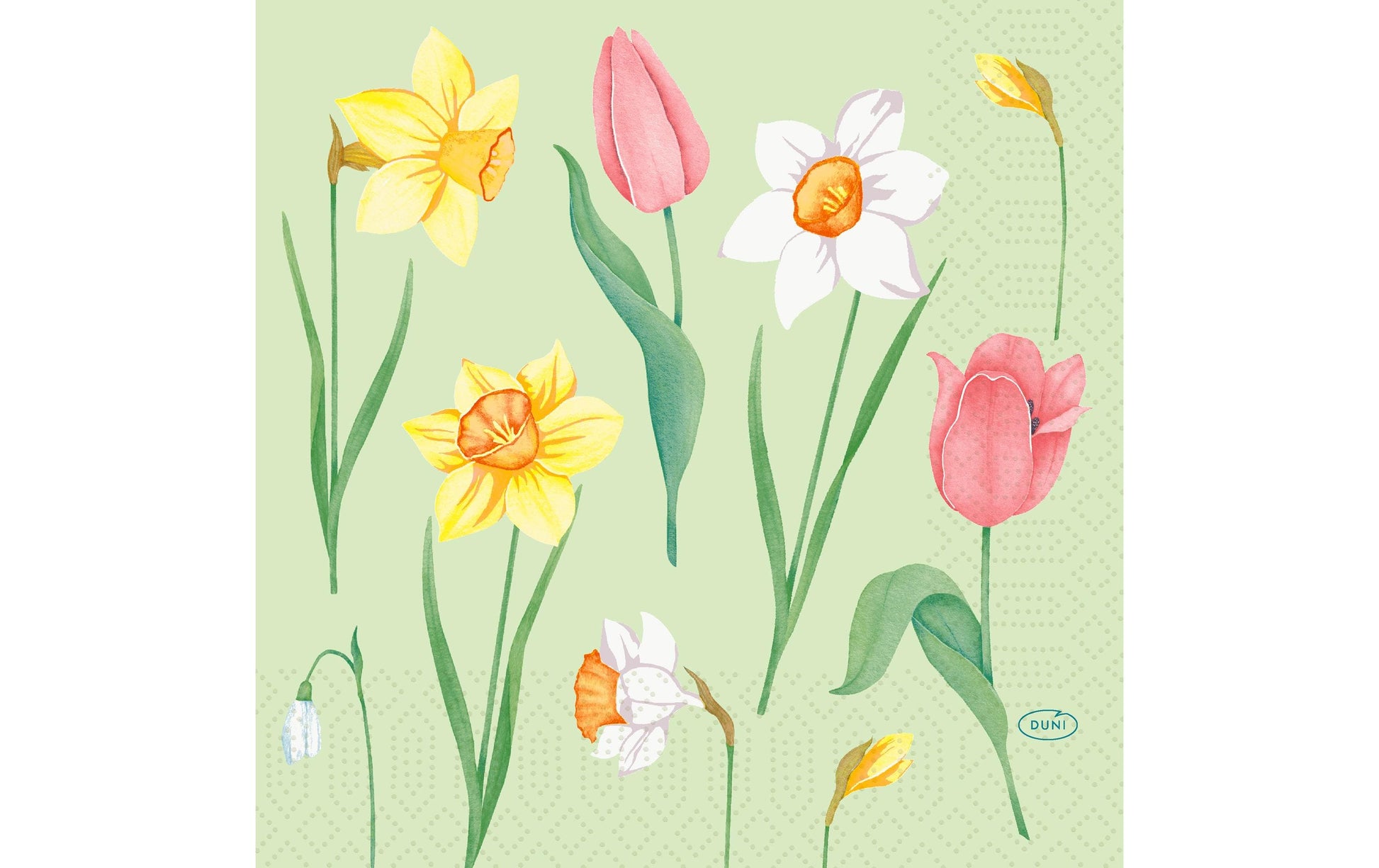 Duni Servietten Spring Melody – mehrfarbig – 33 × 33 cm, 3-lagig – 50 Stück