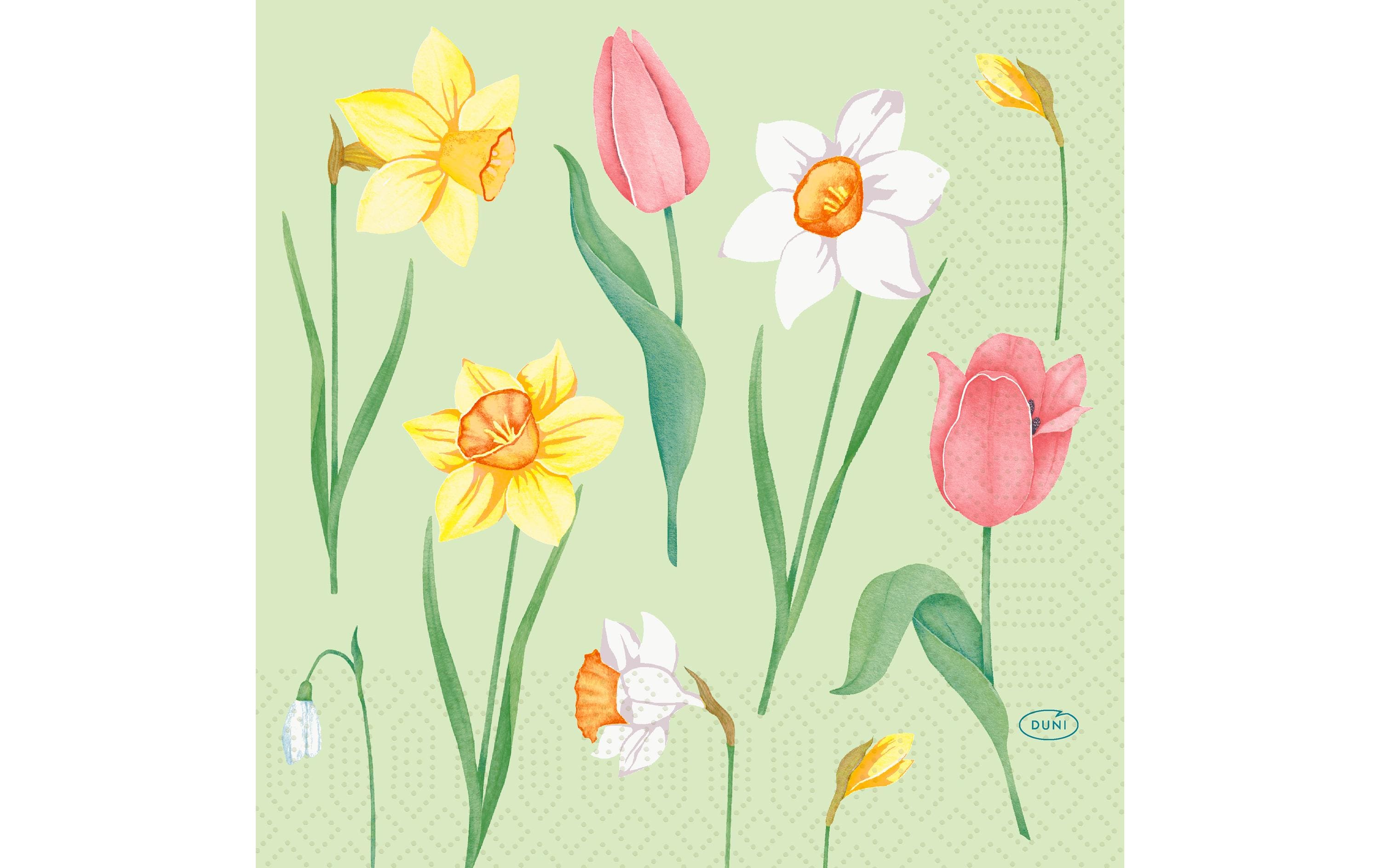 Duni Servietten Spring Melody – mehrfarbig – 33 × 33 cm, 3-lagig – 50 Stück