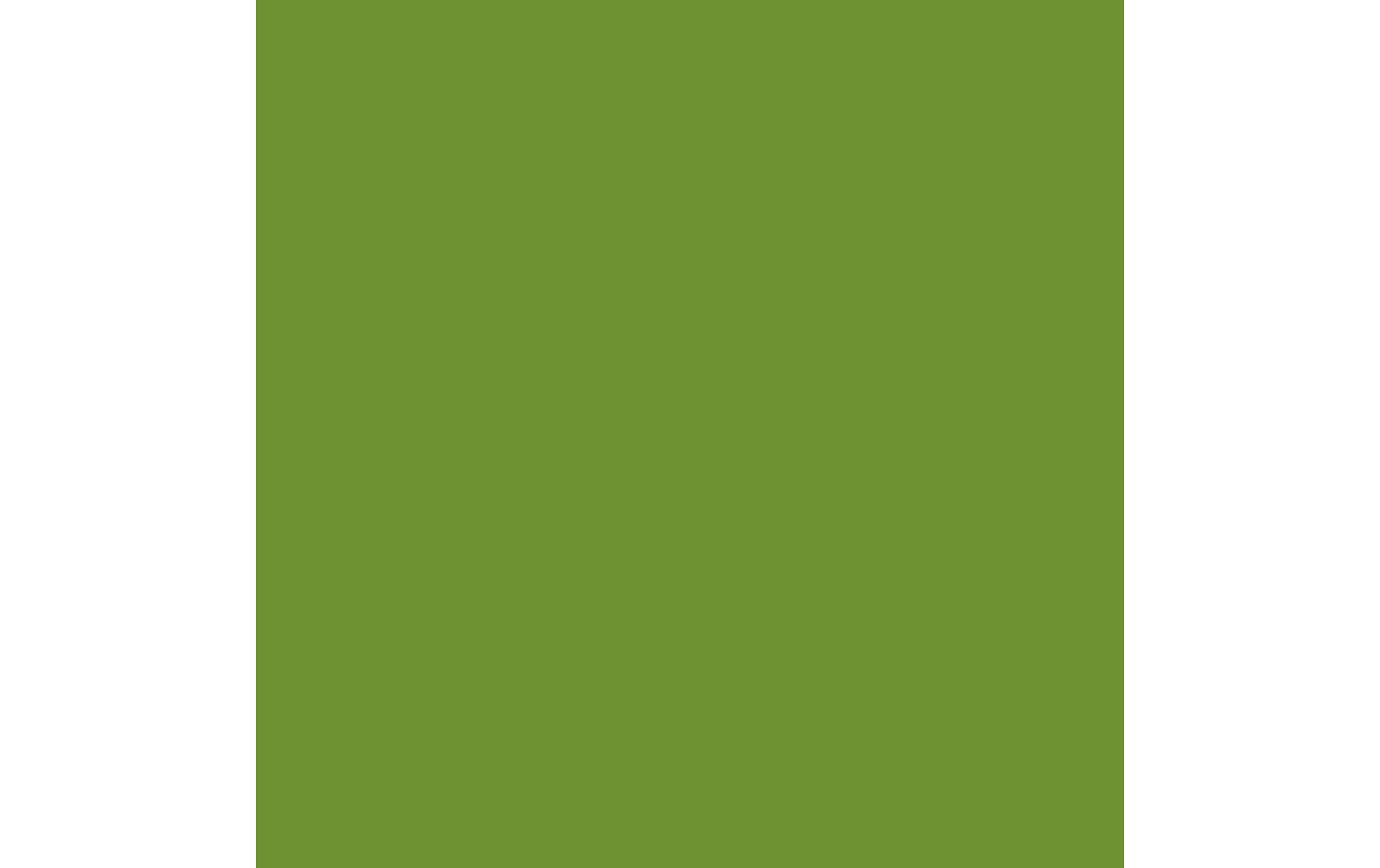 Duni Servietten Bio DSF – grün – 20 × 20 cm, 3-lagig – 180 Stück