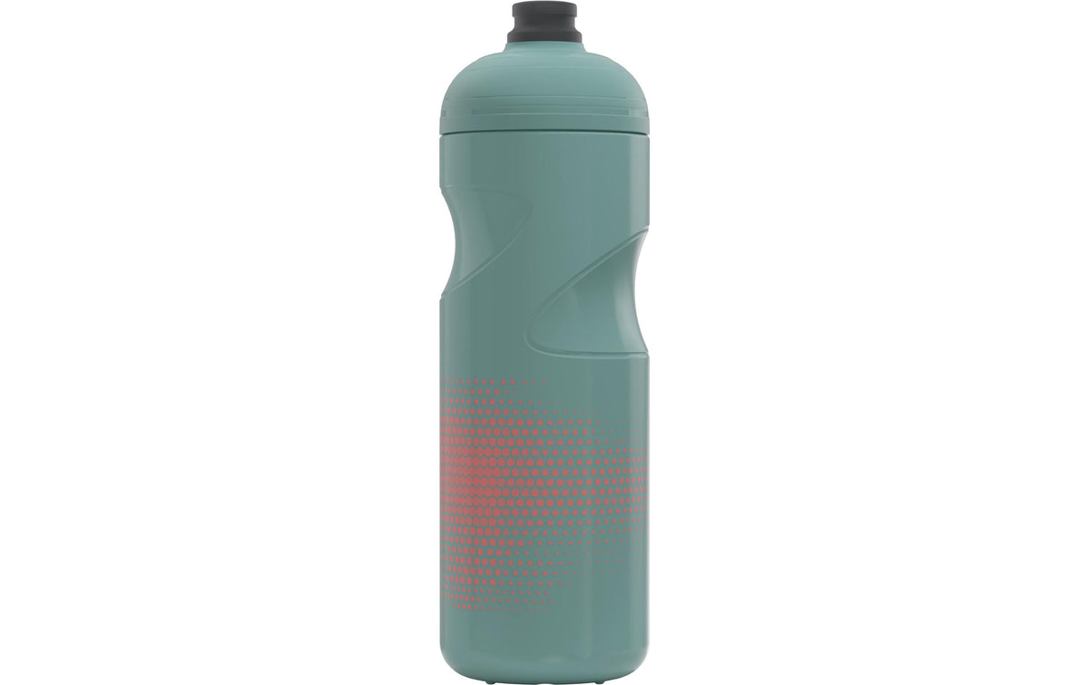SIGG Pulsar Kindertrinkflasche 750 ml – BPA-frei, Polypropylen, Sportdeckel, Morning Blue