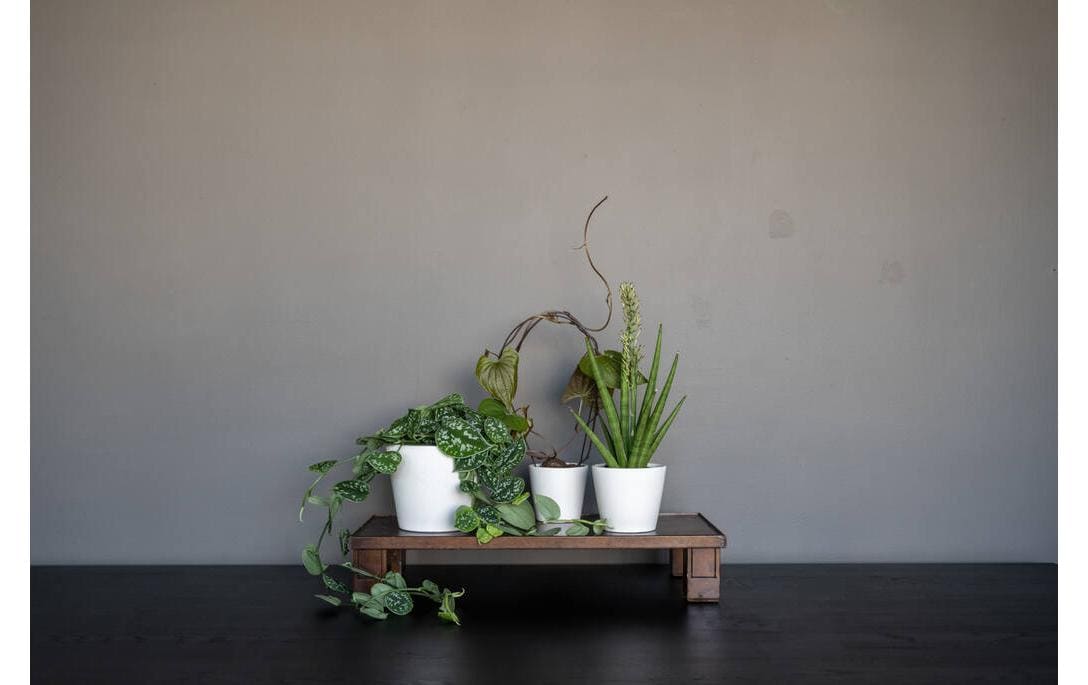 Pottery pots Inez S Pflanzentopf – Ø 13 × 11 cm – Ton, weiss