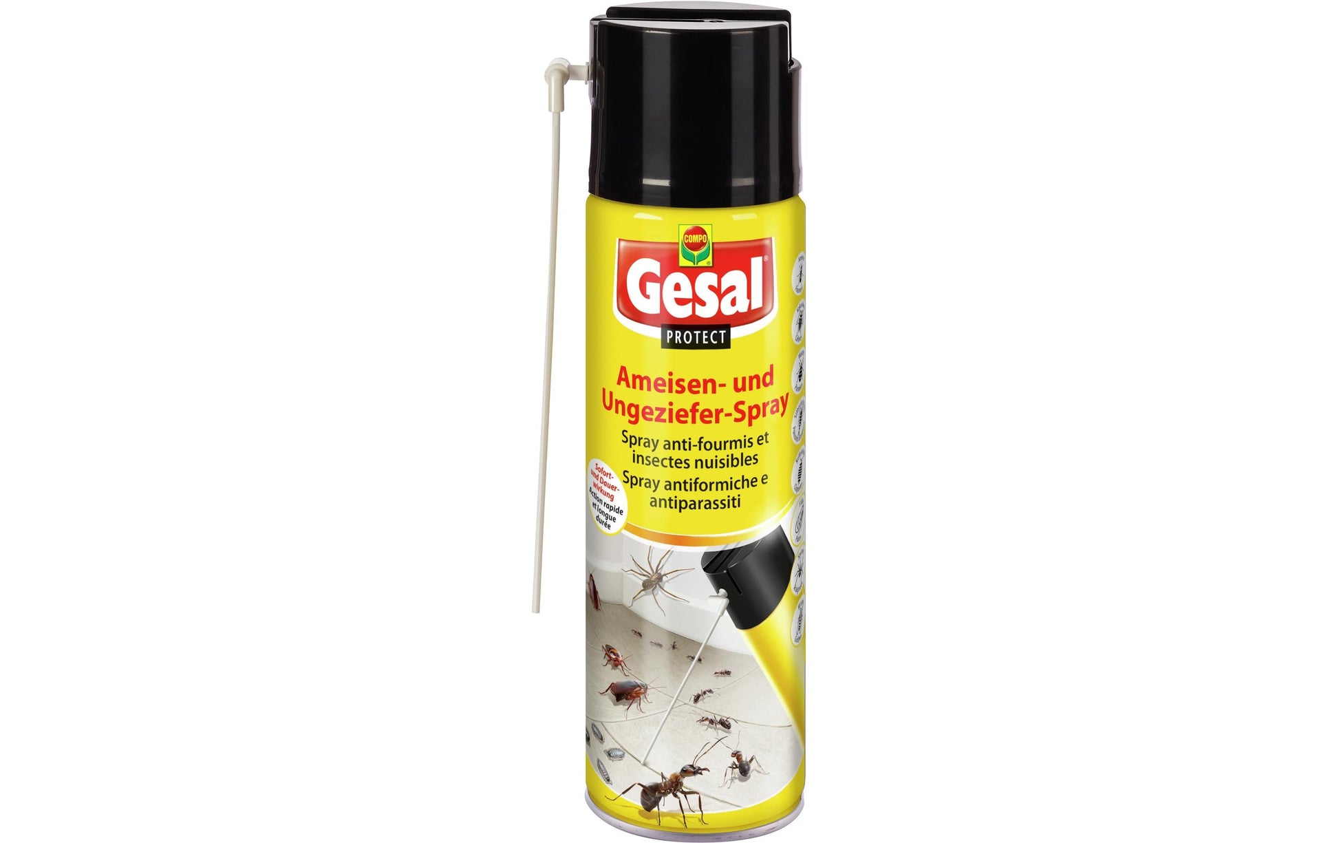 Gesal Insektenspray – für Ameisen