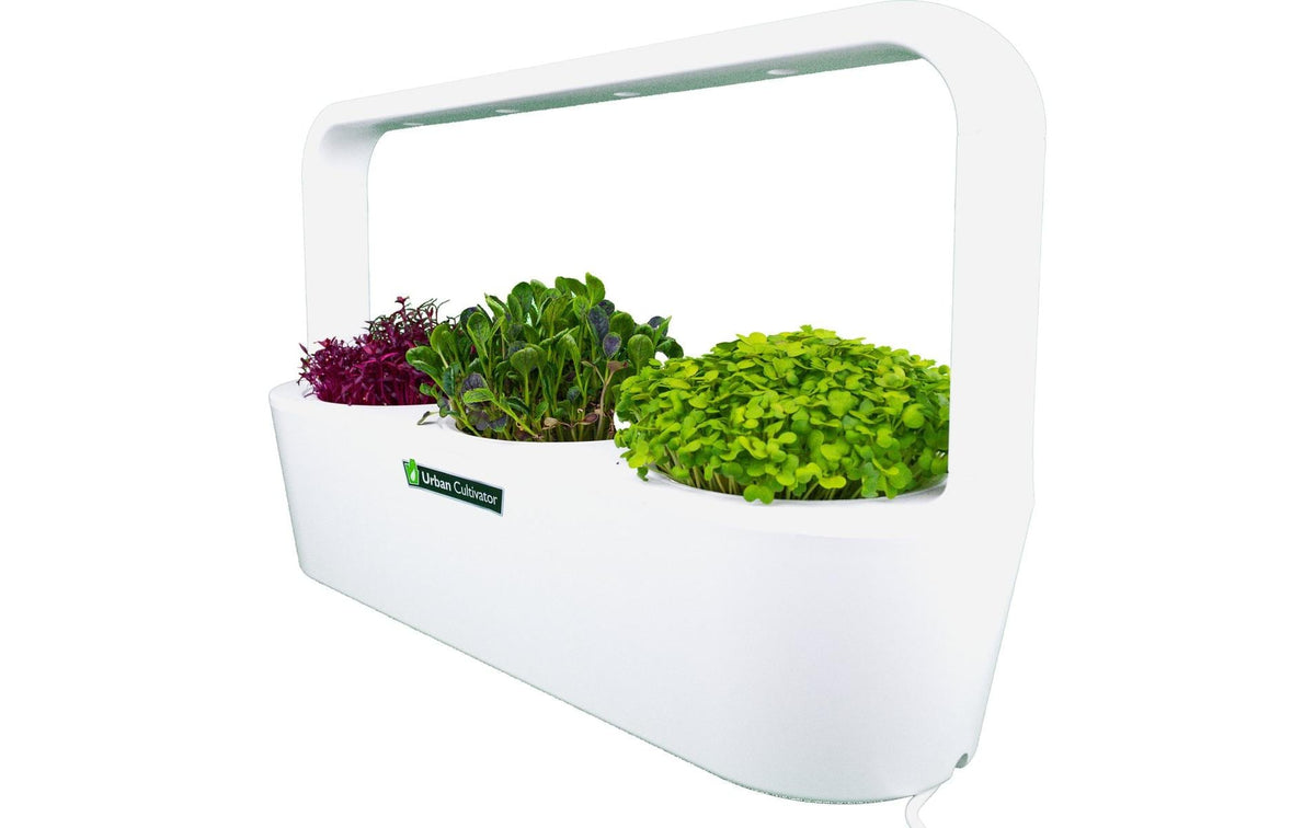 Click and grow Click & Grow Indoor-Kräutergarten MicroBuddy – integrierte Beleuchtung – weiss