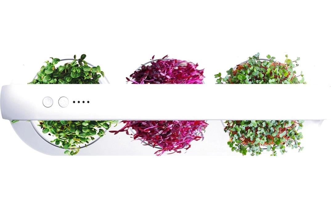 Click and grow Click & Grow Indoor-Kräutergarten MicroBuddy – integrierte Beleuchtung – weiss