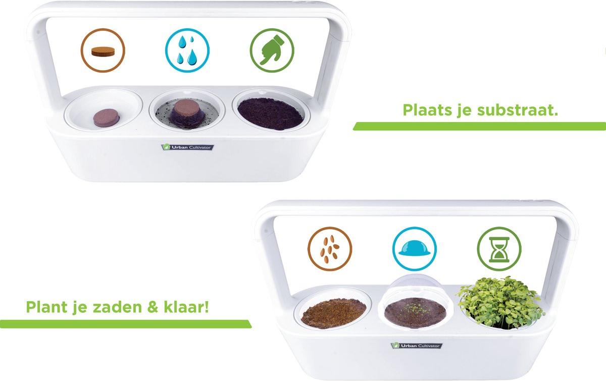 Click and grow Click & Grow Indoor-Kräutergarten MicroBuddy – integrierte Beleuchtung – weiss