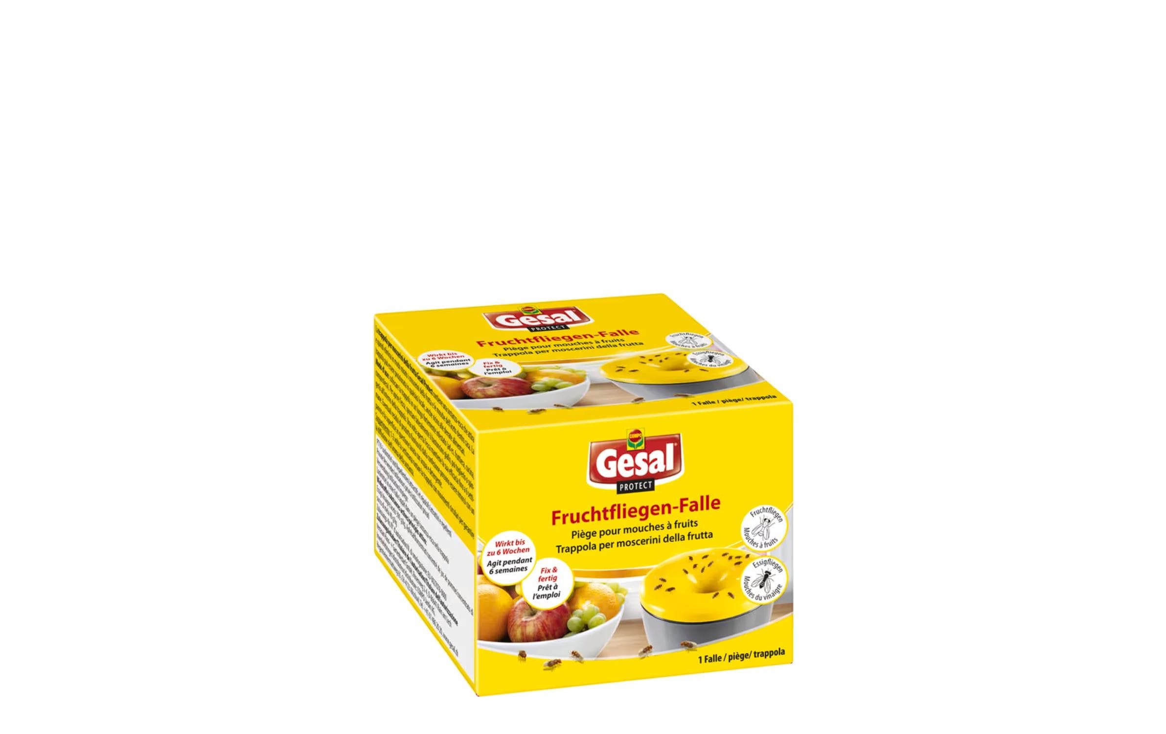 Gesal Insektenfalle Fruchtfliegenfalle – für Fruchtfliegen