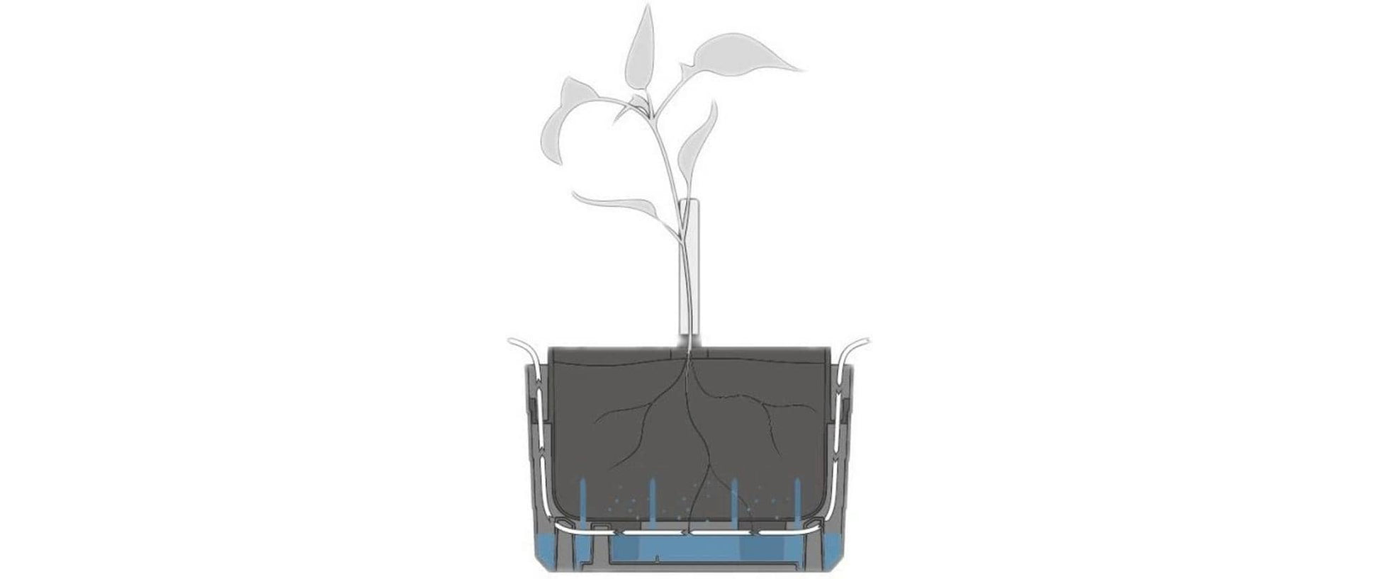 Plastia Berberis Pflanzkübel – Ø 26 × 26 cm, 4000 ml – Kunststoff, mehrfarbig – mit Bewässerung