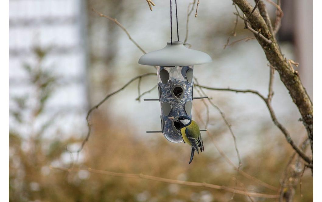 Plastia Robin 3-in-1 Vogelfutterhaus – Ø 18 cm, 550 ml – Kunststoff, Anthrazit