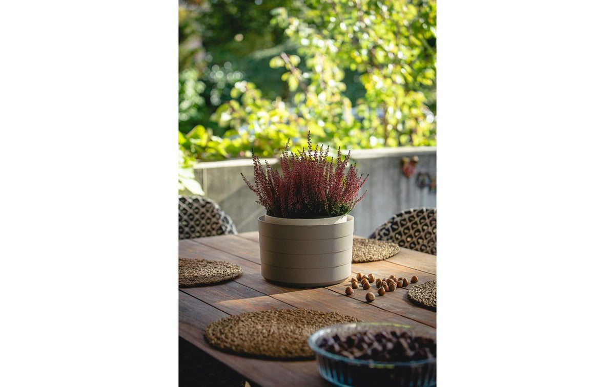 Plastia Berberis Pflanzkübel – Ø 26 × 26 cm, 4000 ml – Kunststoff, mehrfarbig – mit Bewässerung