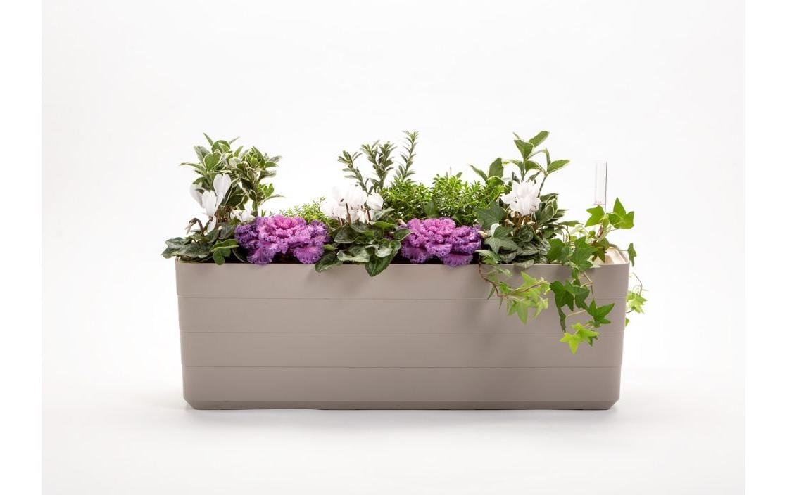 Plastia Bewässerungskasten – 78 × 19,7 × 19,5 cm – Kunststoff, mehrfarbig