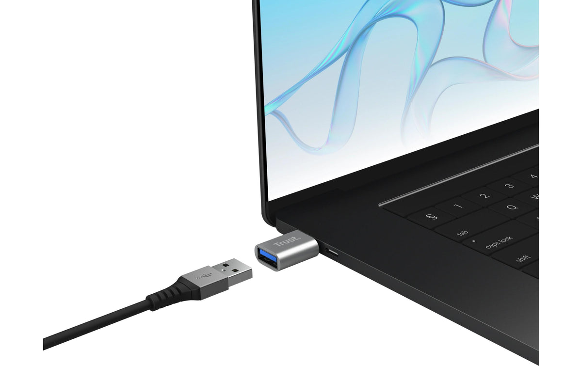 Trust Calyx USB-C zu USB-A Adapter – USB 2.0 (480 Mbit/s), Grau