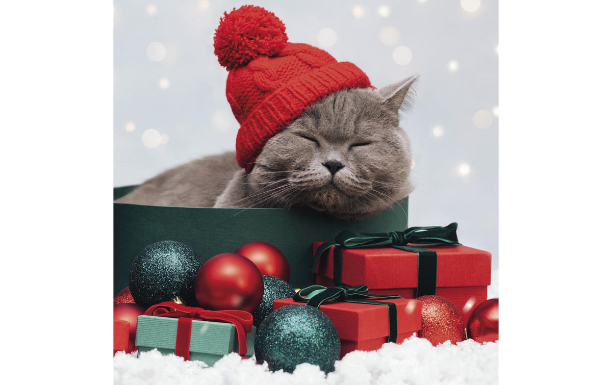 Paper + Design Servietten Katze – mehrfarbig – 33 × 33 cm – 20 Stück