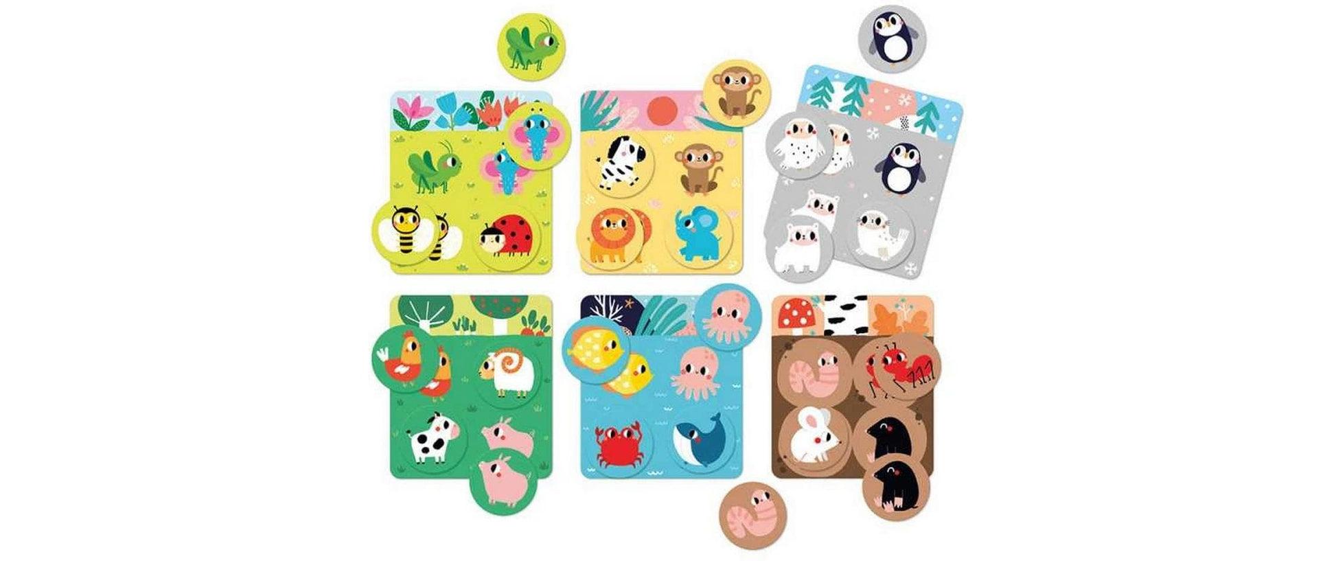 Banana Panda Habitat Bingo – Kartenspiel, 2–6 Spieler, ab 1,5 Jahren, 15 Min., EN/mehrsprachig