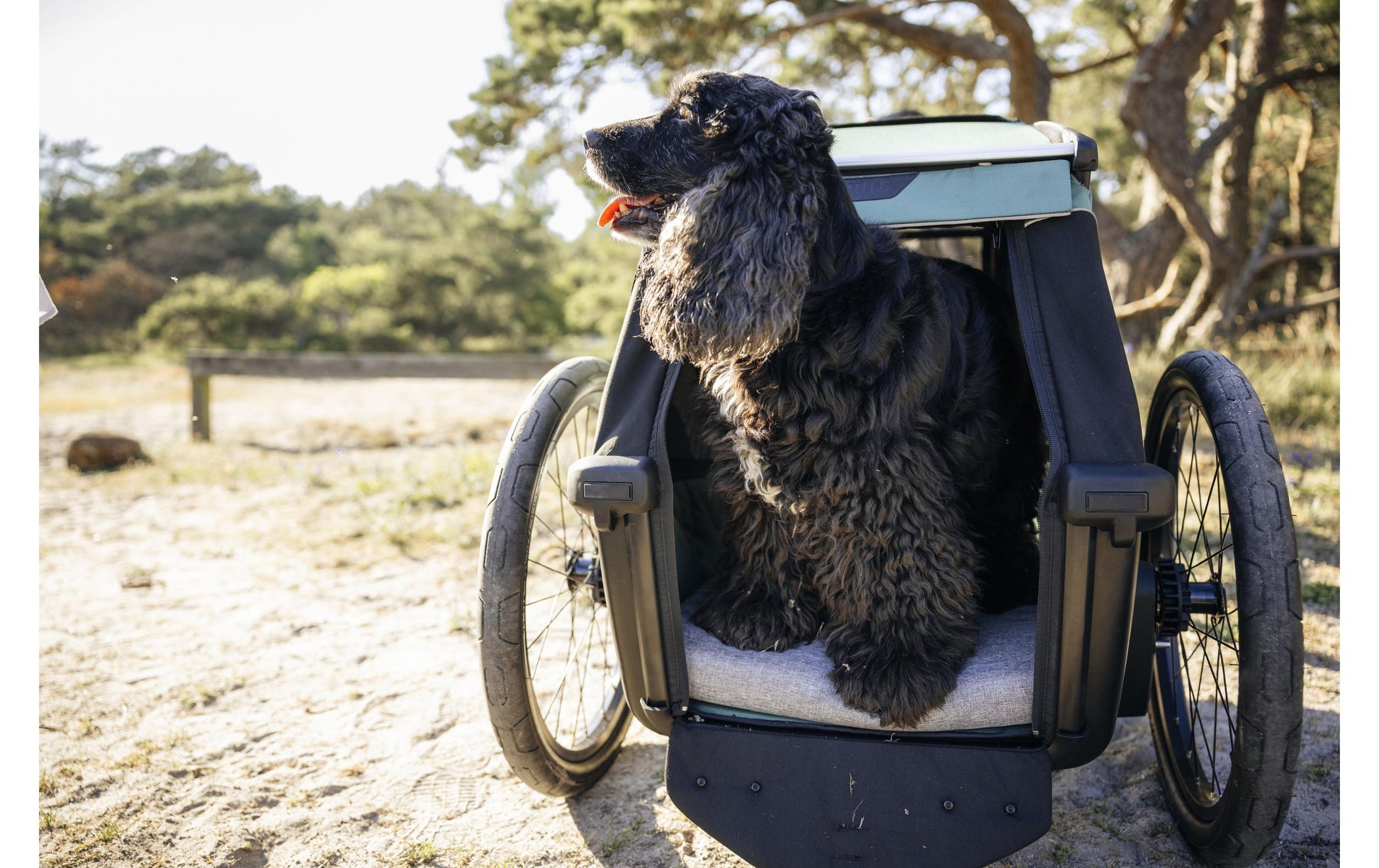 Thule Hundeanhänger Dog Bexey L – für Fahrrad – bis 45 kg, 530×750×910 mm – grün