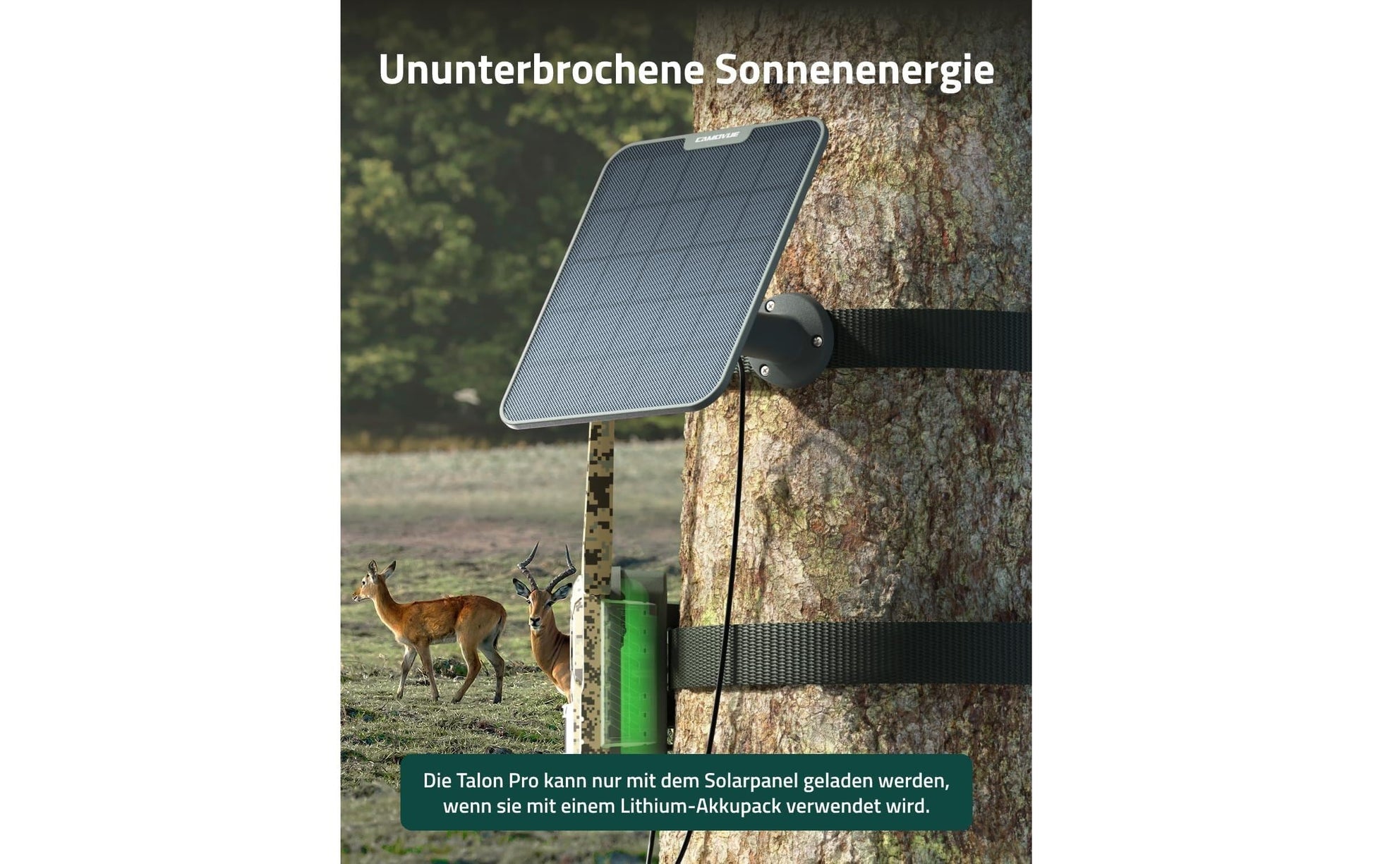 Reolink zubehör Camovue Talon Pro Solarpanel – 4 m Kabel, USB-C – für Camovue S130 – Schwarz