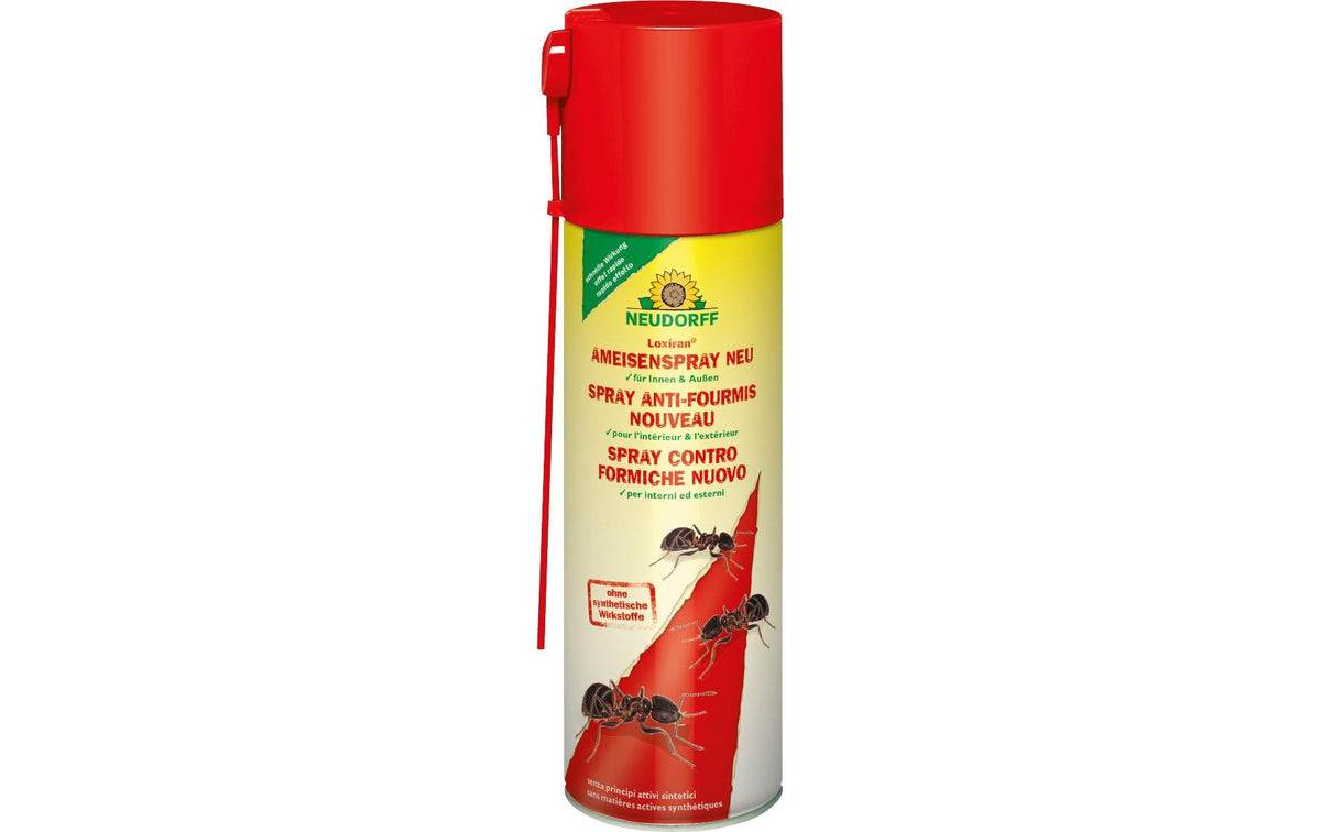 Neudorff Loxiran Ameisenspray – 300 ml – transparent – für Ameisen