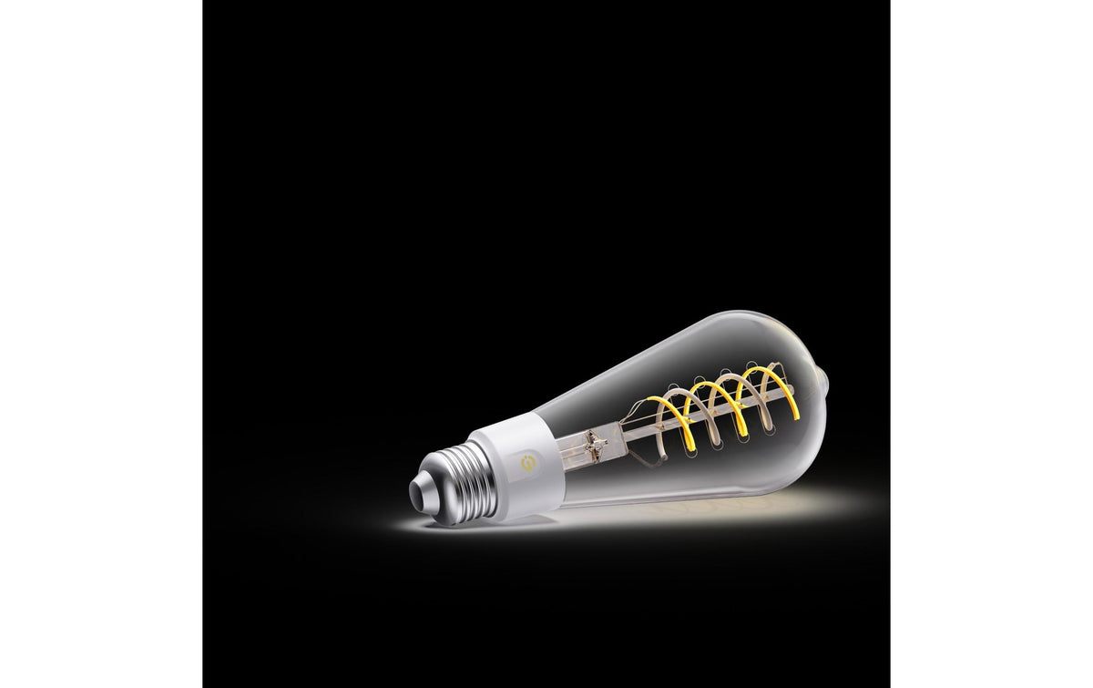 Govee Smart-Leuchtmittel E27 Smart Edison – 2700–6500 K/mehrfarbig, WLAN/App, 5 W