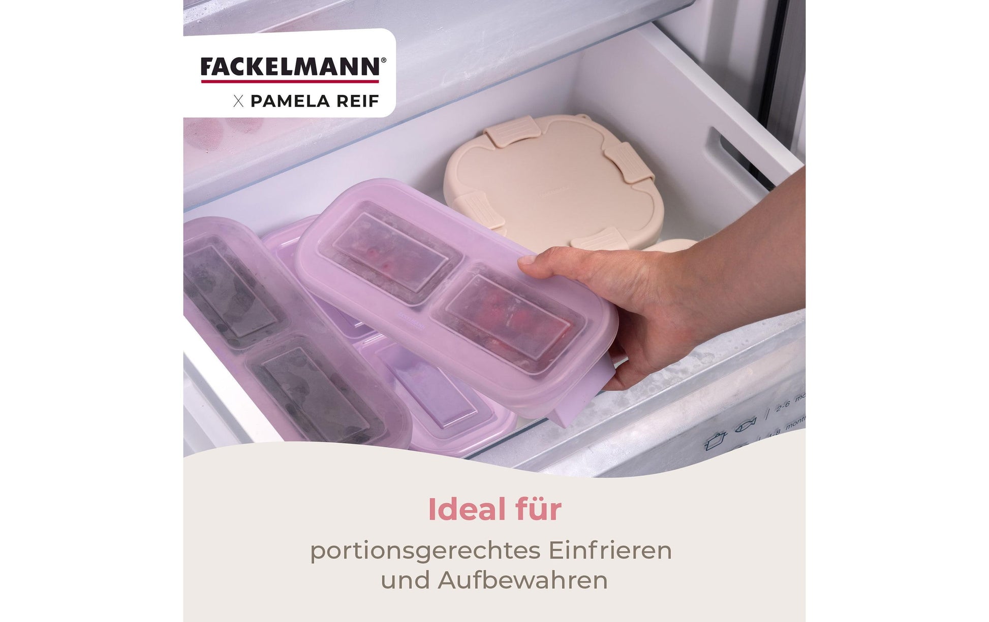 Fackelmann Vorratsdose 500 ml, 26 × 10,3 × 6,1 cm, Polypropylen (PP)/Silikon, Lavendel