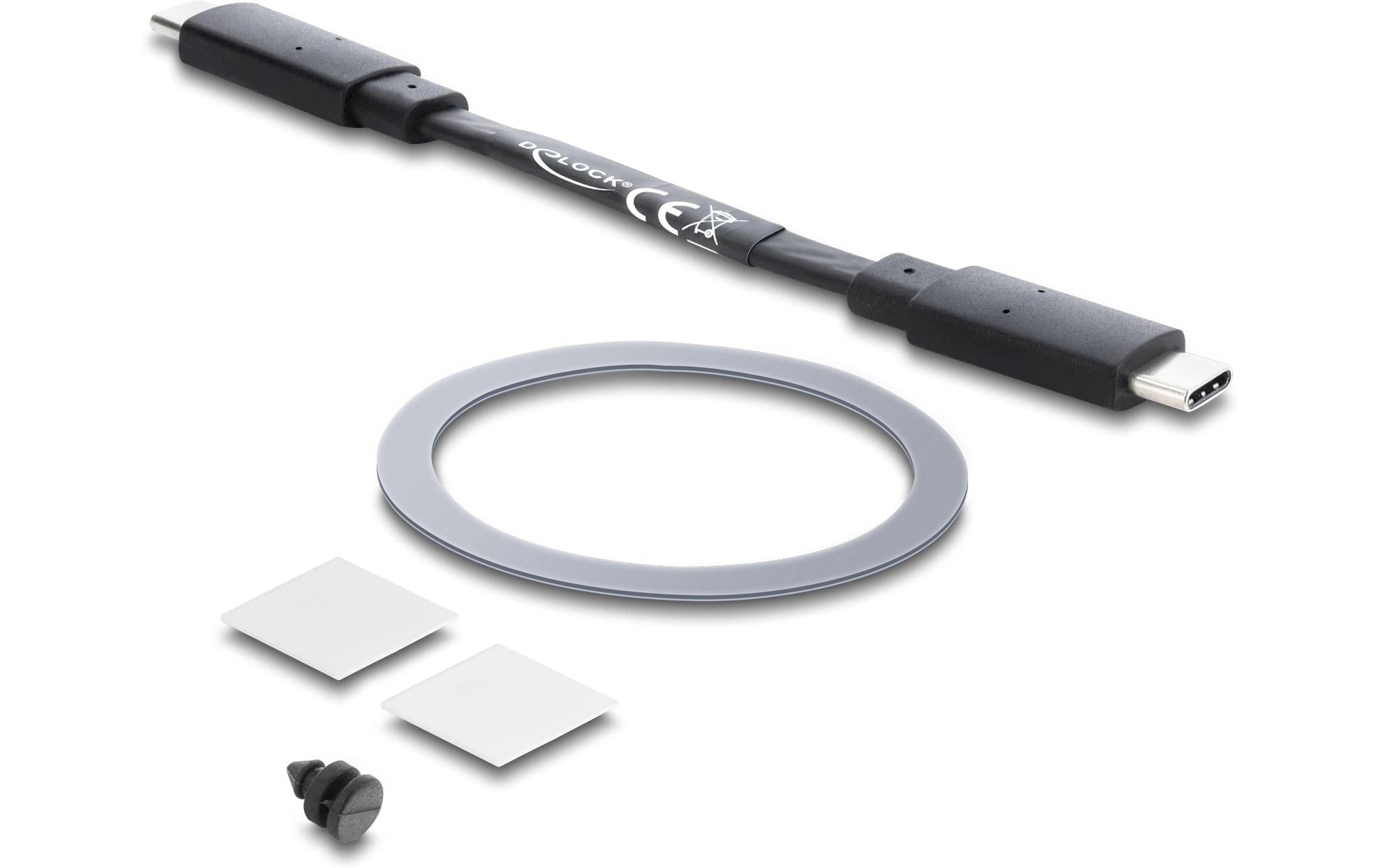 DeLOCK Magnetisches SSD-Gehäuse – 1-Bay-Gehäuse – USB-C 10 Gbps, für M.2 (Key-M), 1×M.2