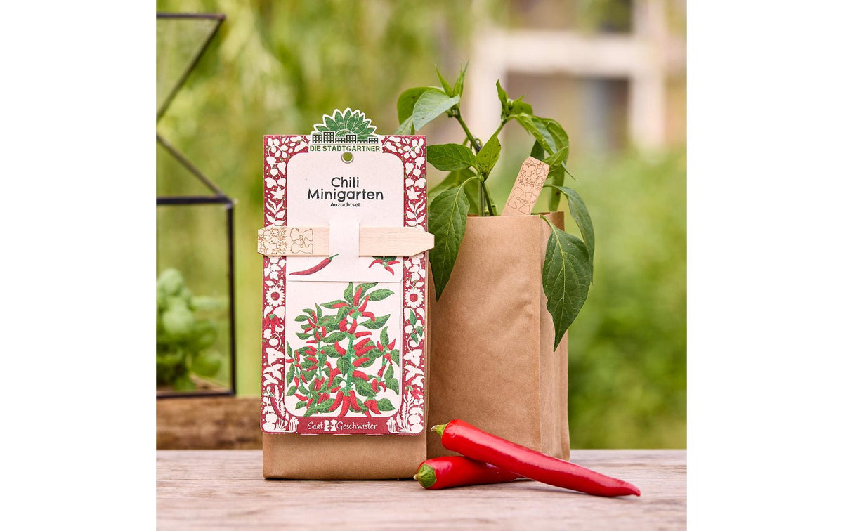Die stadtgärtner Anzuchtsset – Chili, Bio – beige