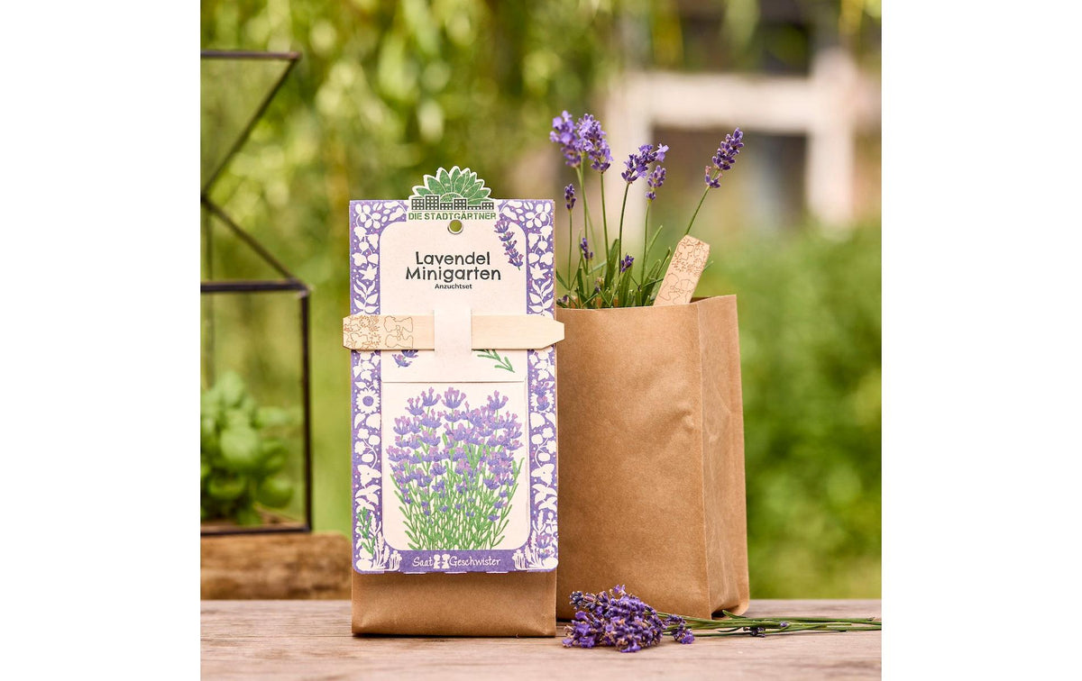 Die stadtgärtner Anzuchtsset – Lavendel (Bio) – Mehrfarbig