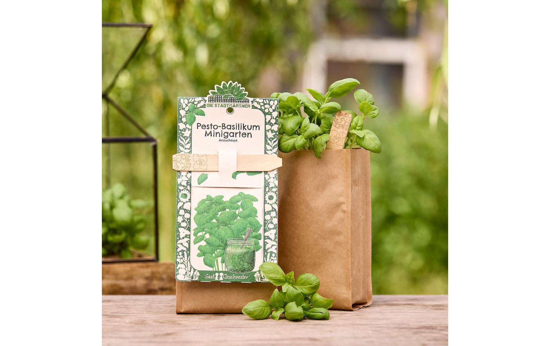 Die stadtgärtner Anzuchtsset – Pesto-Basilikum (Bio) – Pflanzen & Saatgut, beige