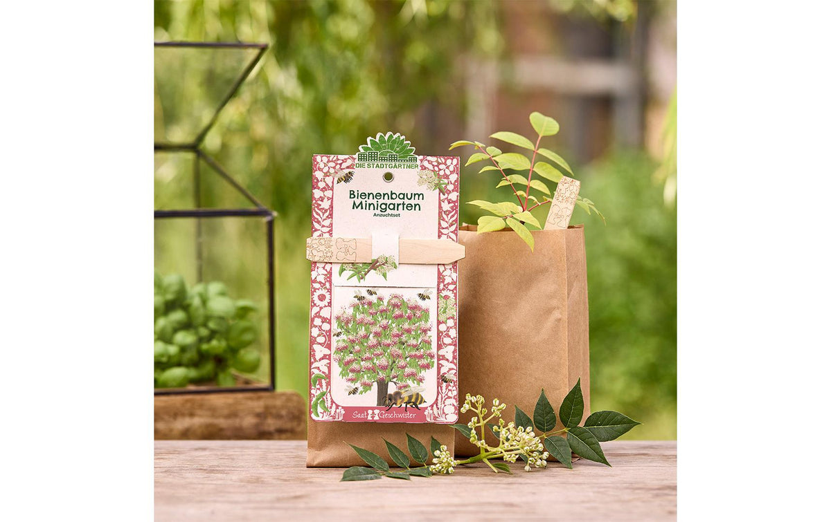 Die stadtgärtner Anzuchtsset – Bienenbaum – Pflanzen & Saatgut, beige
