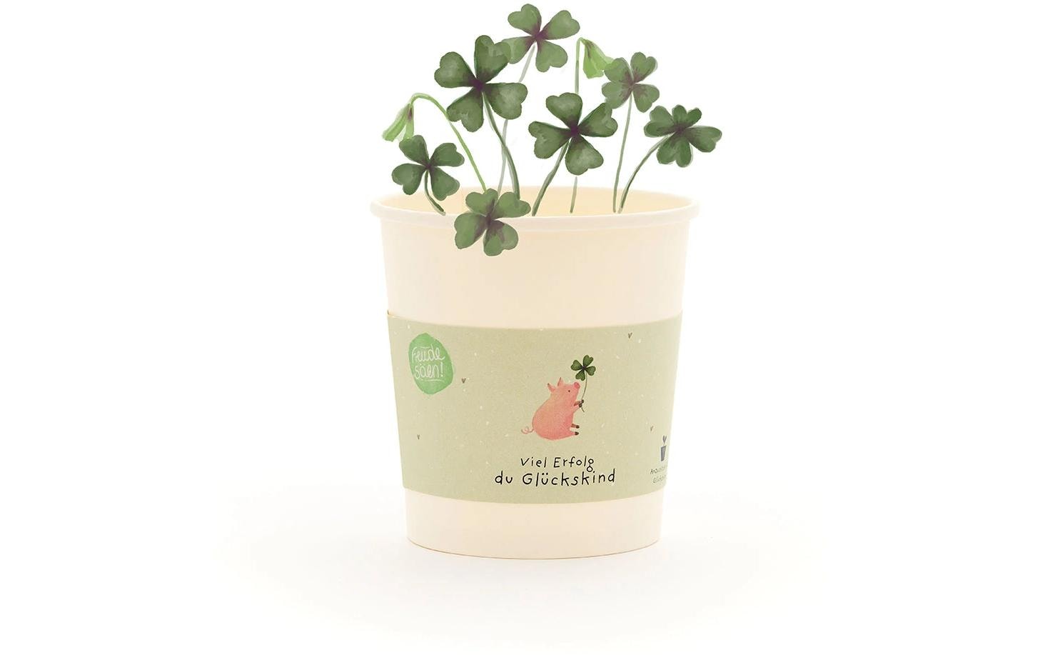 Die stadtgärtner Blumengruss-Becher – Geschenk mit Saatgut – Mehrfarbig