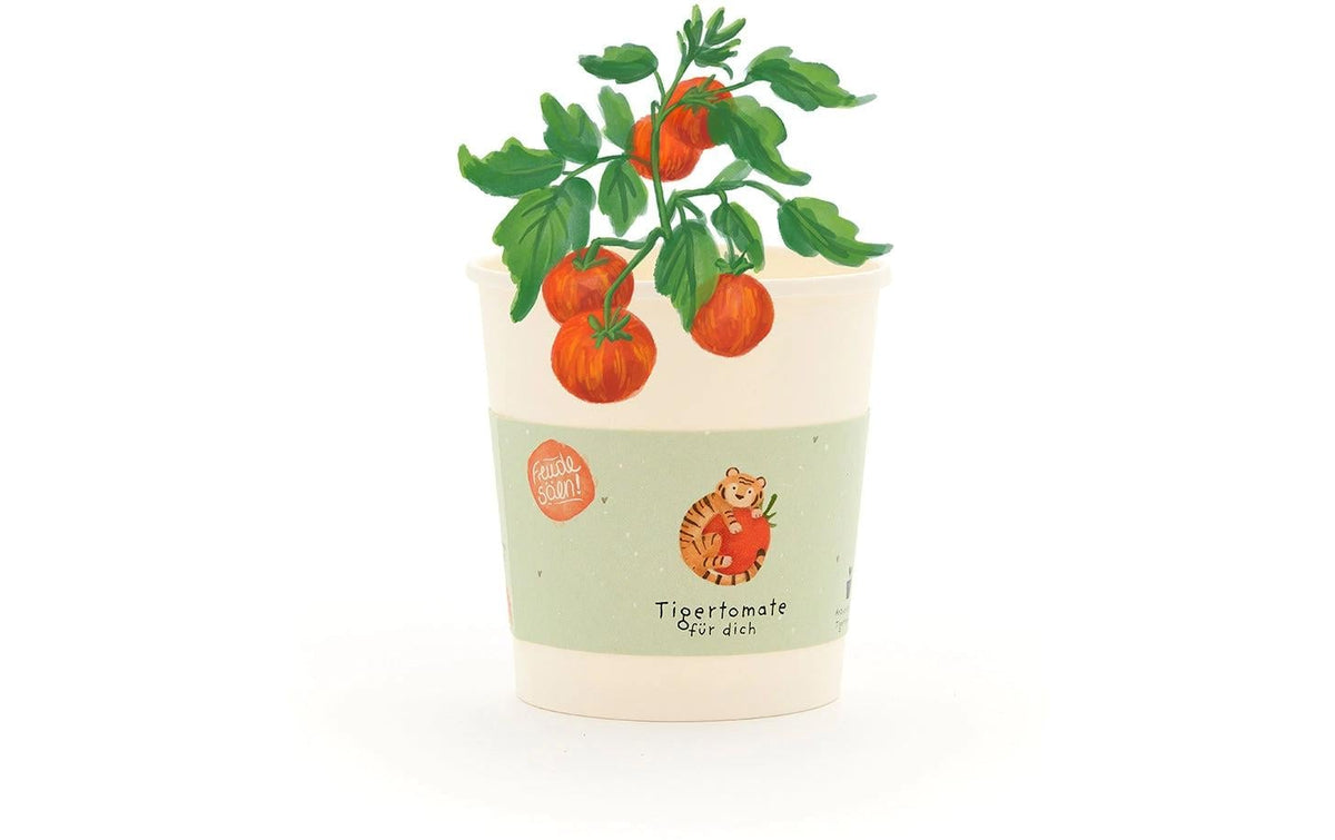 Die stadtgärtner Blumengruss-Becher – Tigertomate – Mehrfarbig