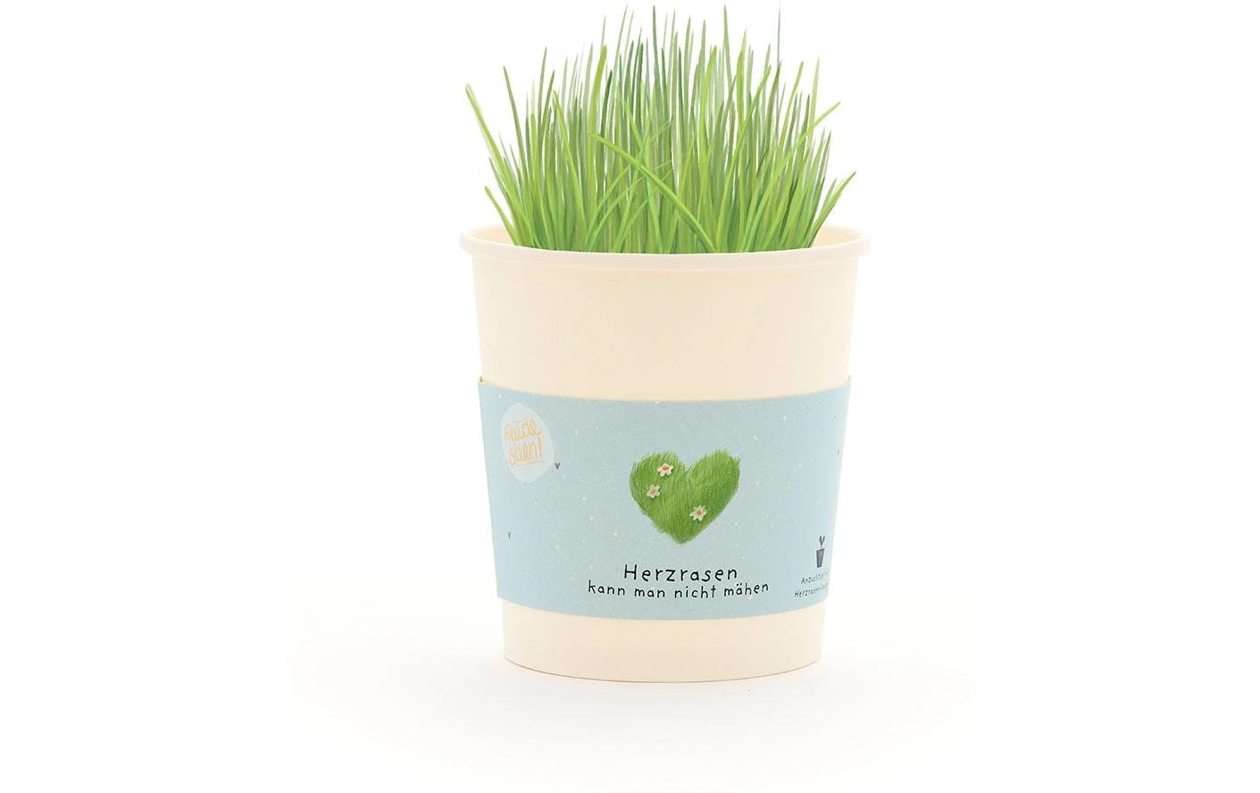Die stadtgärtner Blumengruss-Becher – für Hochzeitstag, Liebe & Valentinstag – Mehrfarbig