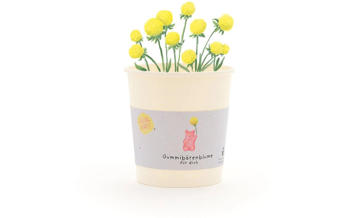 Die stadtgärtner Blumengruss-Becher – Gummibärenblume – Mehrfarbig