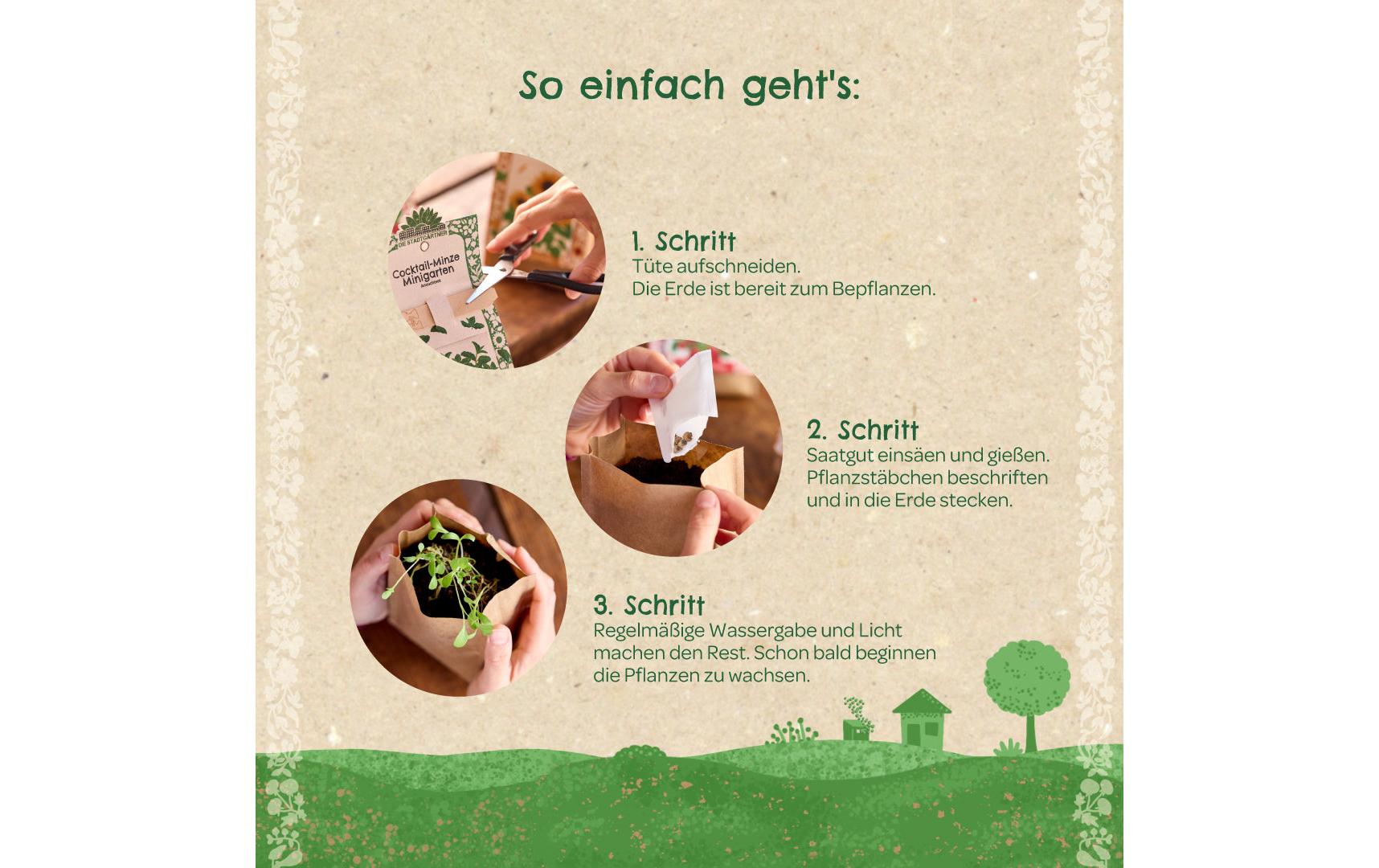 Die stadtgärtner Anzuchtsset – Schnittlauch – Bio, Mehrfarbig