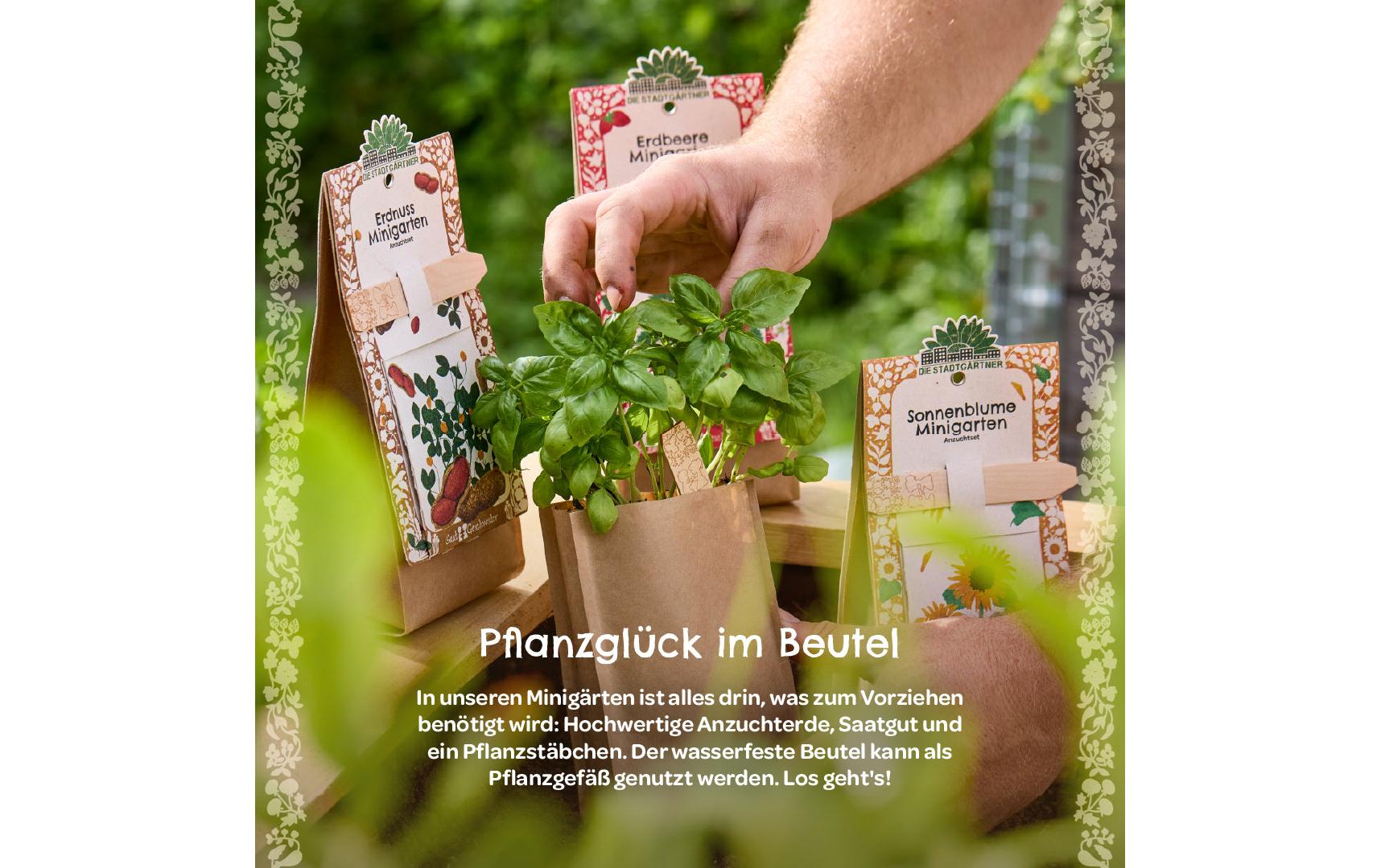 Die stadtgärtner Anzuchtsset – Schnittlauch – Bio, Mehrfarbig
