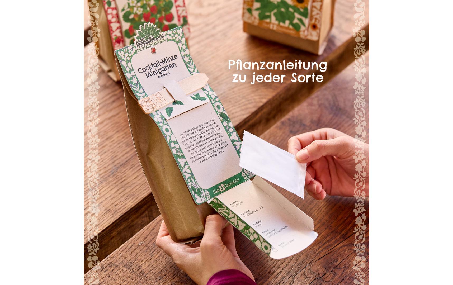 Die stadtgärtner Anzuchtsset – Pesto-Basilikum (Bio) – Pflanzen & Saatgut, beige
