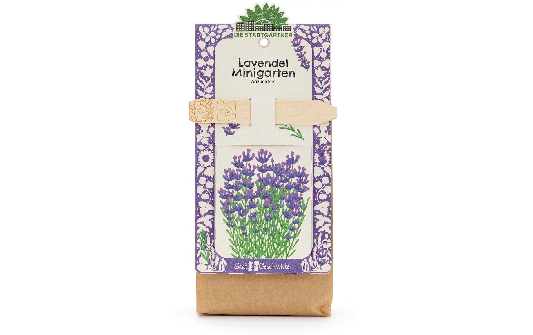 Die stadtgärtner Anzuchtsset – Lavendel (Bio) – Mehrfarbig