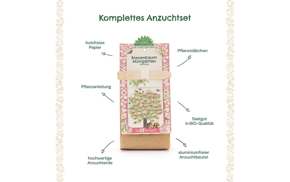 Die stadtgärtner Anzuchtsset – Bienenbaum – Pflanzen & Saatgut, beige