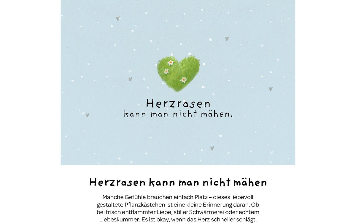 Die stadtgärtner Pflanzenkästchen – Pflanzen & Saatgut – Beige